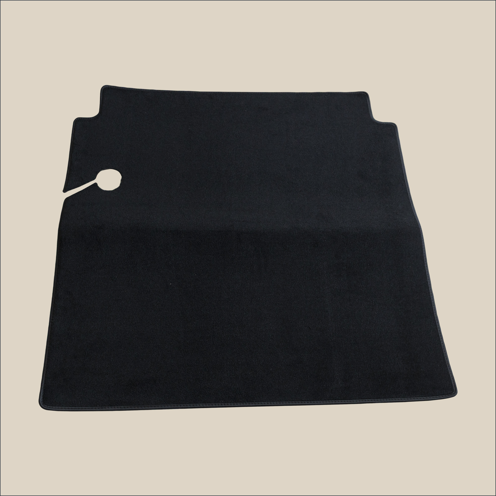 tapis de coffre panhard dyna z pl17